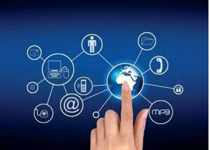 8月，佛山人的心弦被撥動(dòng) 互聯(lián)網(wǎng)信息服務(wù)的溫情與考驗(yàn)